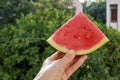 Triangle watermelon slice in hand Royalty Free Stock Photo