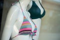 pink tripped bikini on mannequin in fashion store showroom for women