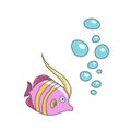 Pink tropical striped fish swimming among blue water bubbles Royalty Free Stock Photo