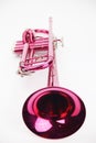 Pink trumpet on white background