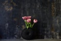 Pink tulip bouquet in black vase on table on dark background. Copy space for text Royalty Free Stock Photo