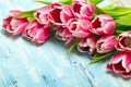 Pink tulip bouquet on blue wooden background, copy space. Royalty Free Stock Photo