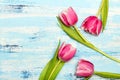Pink tulip bouquet on blue wooden background, copy space Royalty Free Stock Photo
