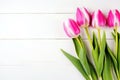 Pink tulip flower on white vintage wooden background with copy space Royalty Free Stock Photo