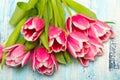 Pink tulip flowers on blue wooden background, copy space. Royalty Free Stock Photo