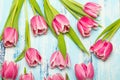 Pink tulip flowers on blue wooden background, copy space Royalty Free Stock Photo