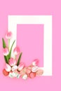 Pink Tulip Flowers and Easter Egg Floral Background Frame Royalty Free Stock Photo