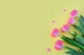 Pink tulip flowers in envelope on yellow background. Floral arrangement..Spring bouquet. , Valentine`s day, Mother`s day,