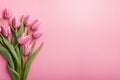 Pink tulip flowers and leaves arrange on pink copyspace background.