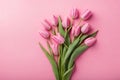 Pink tulip flowers and leaves arrange on pink copyspace background.