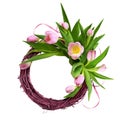 Pink tulip flowers and satin ribbon in a floral arrangement with rattan round frame isolated on white Royalty Free Stock Photo