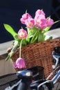 Pink tulip flowers in a wickery bike basket