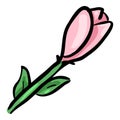 Pink Tulip - Hand Drawn Doodle Icon Royalty Free Stock Photo