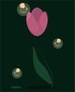 pink tulip on a long, slender stem, and fireflies fly around