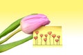 A pink tulip with lovely greetings. Royalty Free Stock Photo