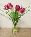 Pink Tulip Vase On Table