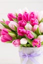 Pink tulip on the white background. Easter background