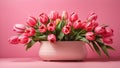 pink tulip white potted pink background