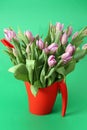 Pink Tulips Royalty Free Stock Photo