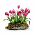 Pink Tulip Bonsai: Organic Sculpting With Nature-inspired Gemstone Pieces