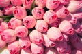 Pink tulips background Royalty Free Stock Photo