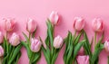 Pink tulips on pink background. Flat lay, top view. Space for text.