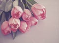 Vintage pink tulips background Royalty Free Stock Photo