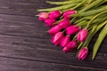 Pink tulips on the black background. Flat lay, top view. purple easter tulips arrangement with space for text Royalty Free Stock Photo