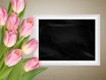 Pink tulips with blank black chalkboard. EPS 10 Royalty Free Stock Photo