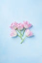 Pink tulips on blue pastel background top view. Spring greeting card with copy space. Flat lay.