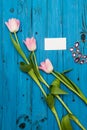 Pink tulips on a blue wooden board Royalty Free Stock Photo
