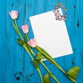 Pink tulips on a blue wooden board Royalty Free Stock Photo