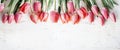 Pink tulips bouquet border on white wooden background from above. Top view of red flower bud frame. Spring seasonal holiday and