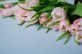 Pink tulips bouquet on light blue background close up with copy space Royalty Free Stock Photo