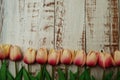 Pink Tulips bouquet with Space for text on a wooden background