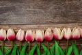 Pink Tulips bouquet with Space for text on a wooden background