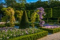 Pink tulips, bushes and green arch, Keukenhof Park, Lisse in Holland