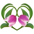 Pink Tulips in Floral Heart for Valentine day. Love symbol in romantic style. Royalty Free Stock Photo