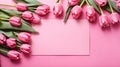 Pink tulips flowers on pink background. Card for Mothers day, 8 March, Happy Easter. Waiting for spring Royalty Free Stock Photo