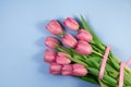 Pink tulips flowers on blue background. Card for Mothers day, 8 March, Happy Easter, Valentines Day. Waiting for spring Royalty Free Stock Photo