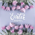 Pink tulips flowers on blue background. Waiting for spring. Happy Easter card. Flat lay, top view Royalty Free Stock Photo