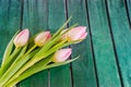 Pink tulips flowers, genus Tulipa, family Liliaceae with heart shape gift box on green bokeh background, close up