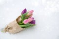 Bouquet of colorful pink tulips in a paper bag on the snow, snowfall, copy space Royalty Free Stock Photo