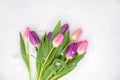 Bouquet of multicolored pink tulips in the snow, top view, light background Royalty Free Stock Photo