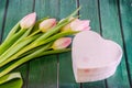 Pink tulips flowers and heart shape gift box, genus Tulipa, family Liliaceae on green bokeh background, close up Royalty Free Stock Photo