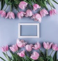 Pink tulips flowers on light blue background with frame for text. Saint Valentines Day frame or background.