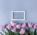 Pink tulips flowers on light blue background with frame for text. Saint Valentines Day frame or background. Greeting card Royalty Free Stock Photo