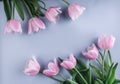 Pink tulips flowers over light blue background. Greeting card or wedding invitation Royalty Free Stock Photo