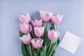 Pink tulips flowers and sheet of paper over light blue background. Greeting card or wedding invitation. Royalty Free Stock Photo