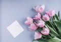 Pink tulips flowers and sheet of paper over light blue background. Royalty Free Stock Photo